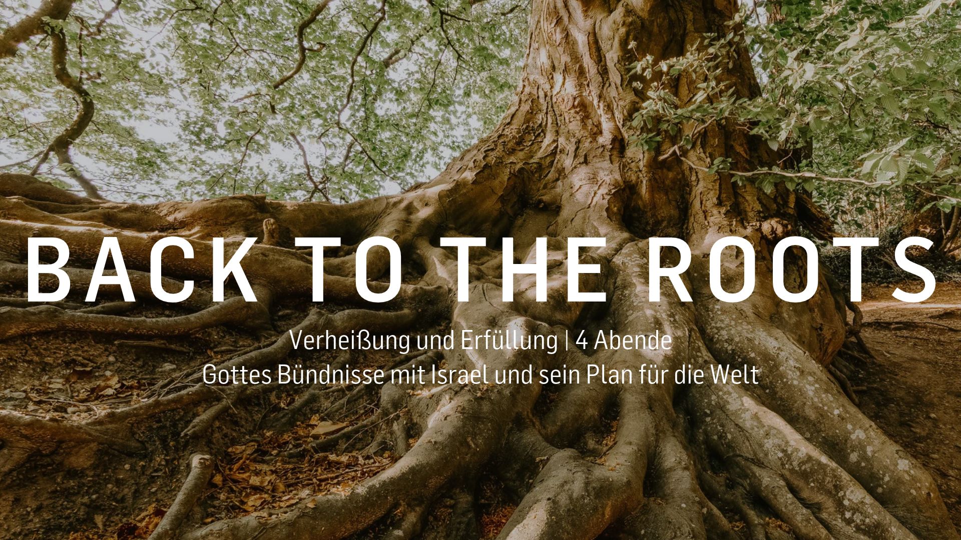 Back to the roots neu
